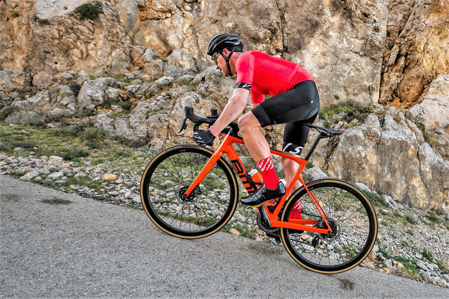Silvini men's jersey MD1604 Stelvio